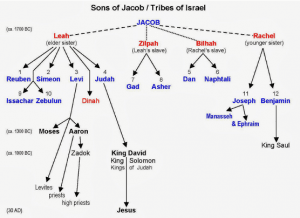 The Pentateuch – Genesis | Sacred Heart Catholic Church